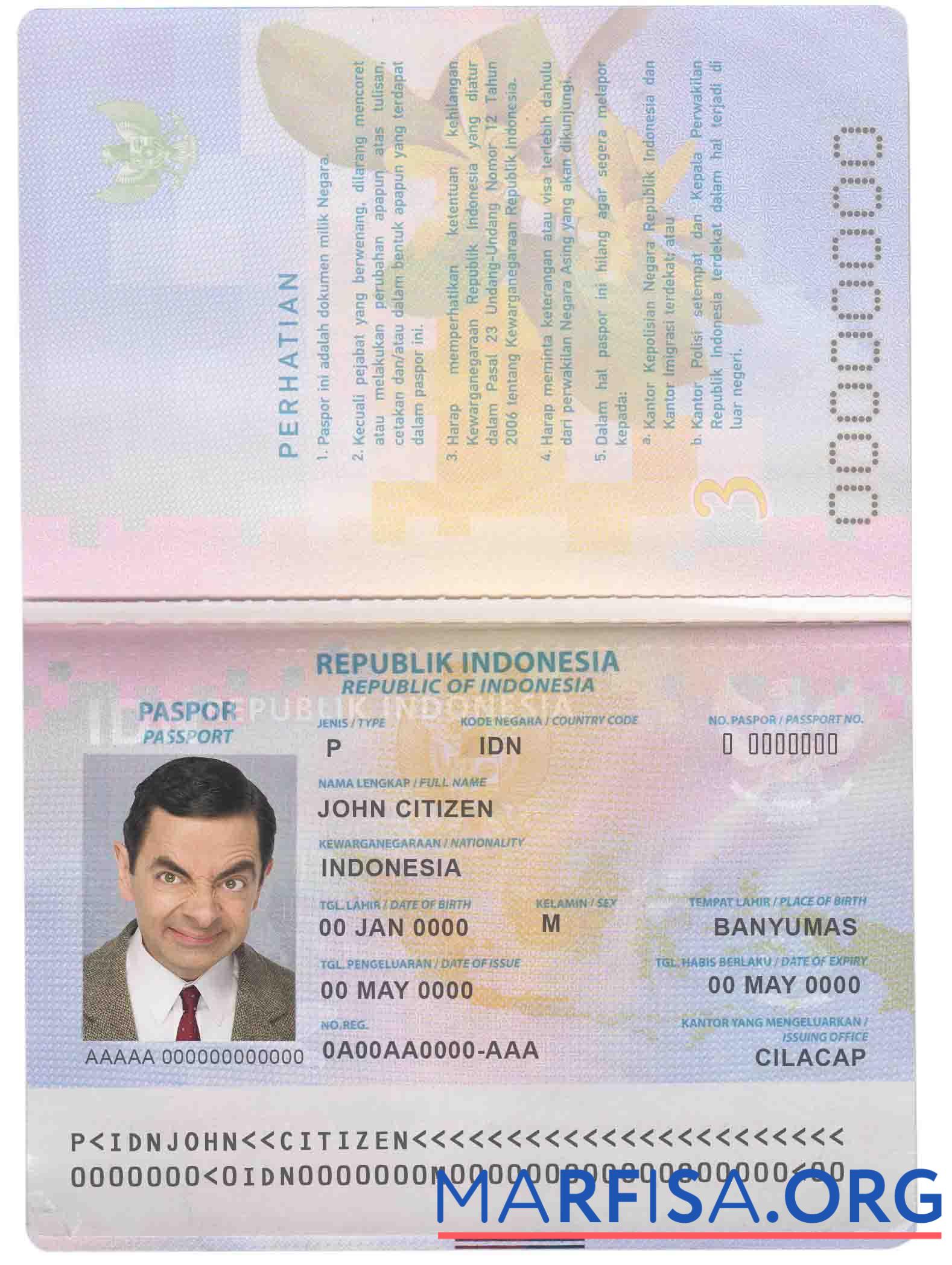 Realistic Indonesia passport download for verification